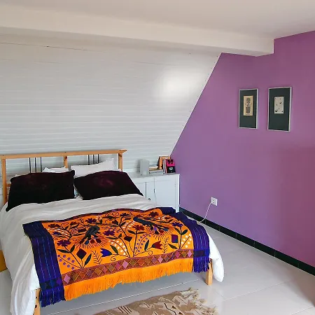 펜션 Holiday Vila Belos 무가스